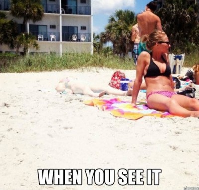 A vacation snap