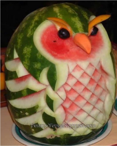 Owl Watermelon