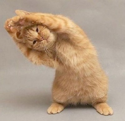 Exercise