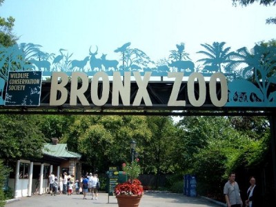 Bronx Zoo