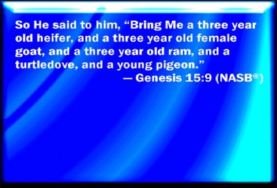 Genesis 15:9