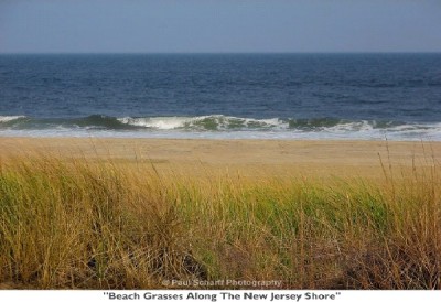 Jersey Shore Beach