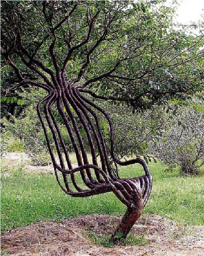 Chair Tree