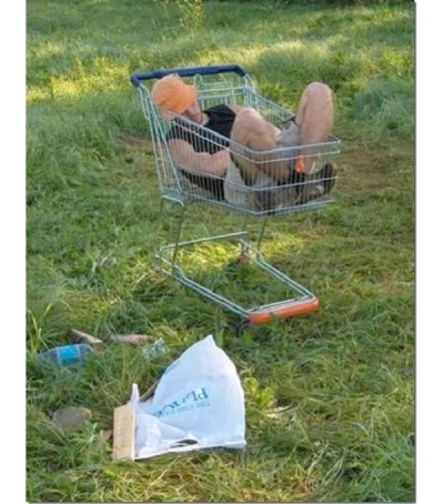 In A Shopping Cart