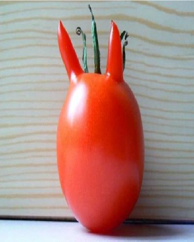 Devil tomato