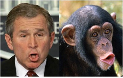 George W. Bush - Chimp