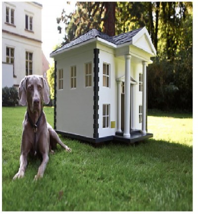 White (dog) house