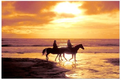Ride A Horse On A Beach