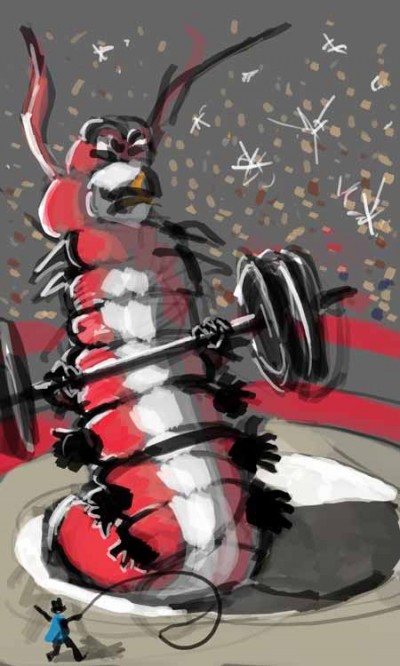 Don't Mess with a Caterpillar