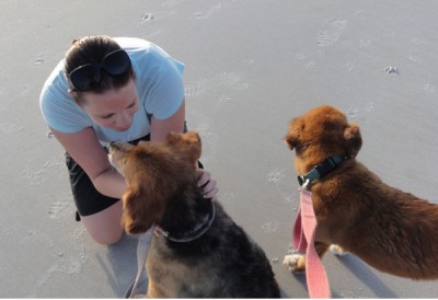 The New Dog Walkers