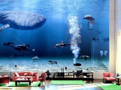 Bill Gates's fish tank