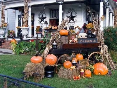 Pumpkins galore