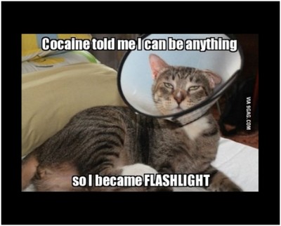 Cat Flashlight