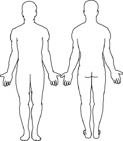 Body Assessment