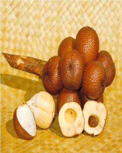 Salak