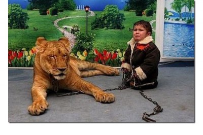 Wild Animals and Small Kids?