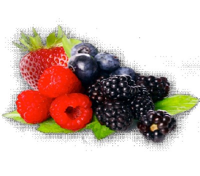 Berries