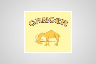 Camel