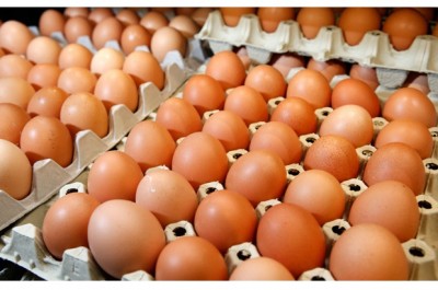 Eggs