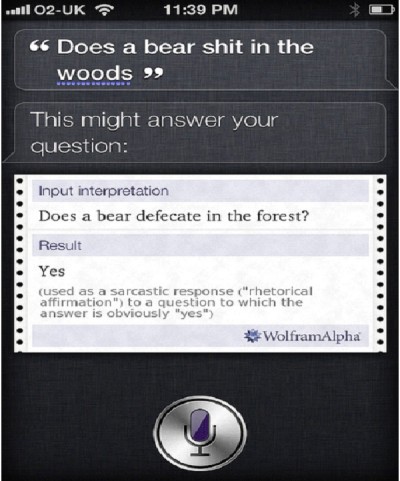 Bear Poop