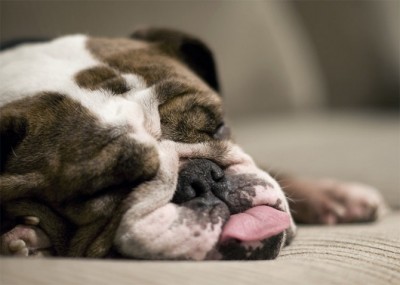 Sound asleep with your wrinkles