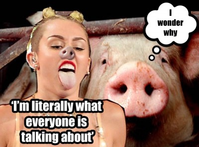Pig like?