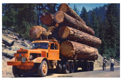 Logging