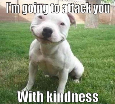 A misunderstood dog