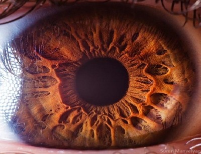 Seeing Deeper