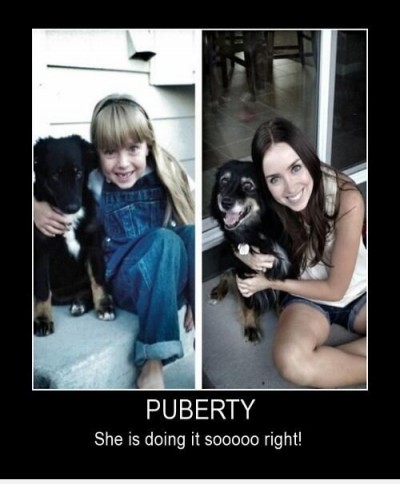 Even the dog changed