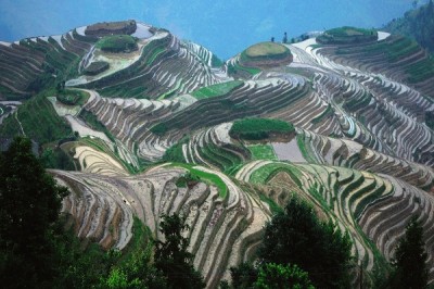 Longji rice terraces