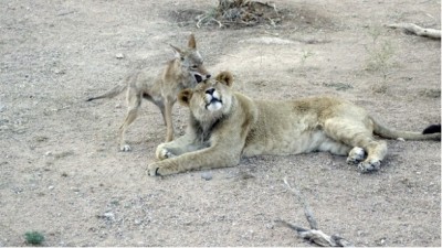 Oh yes you found that itch!!