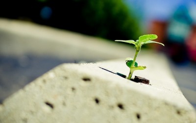 Resilient