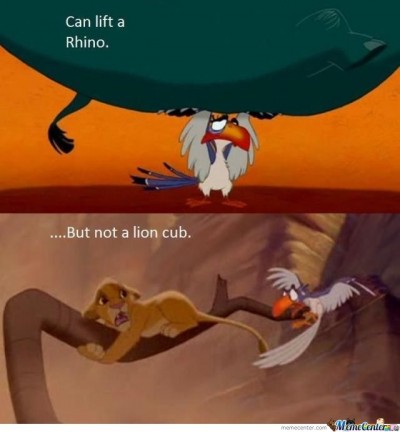 Best Lion King memes