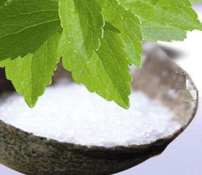 Stevia Instead of Sugar