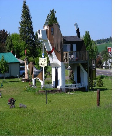 Giant dog house