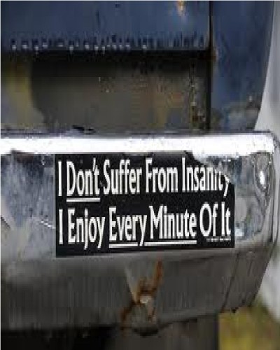 Insanity Bumper Sticker