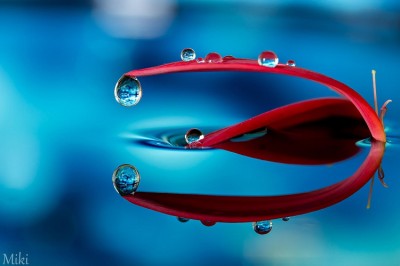 Amazing water droplet photography by Miki Asai