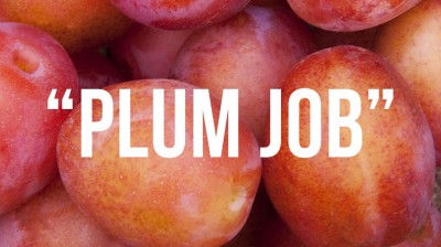 Plum job