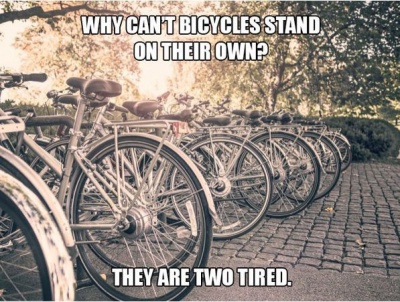 Why Can't Bicycles Stand on Their Own?