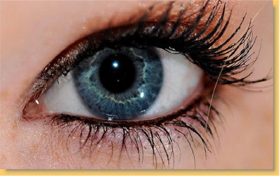 Extreme Close ups of the Human eye