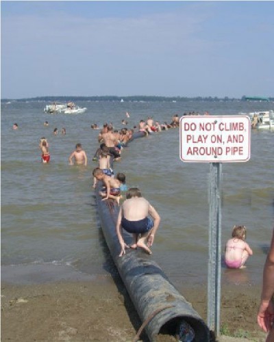 Disregarding Beach Signs