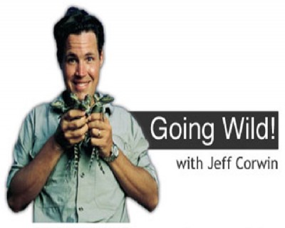 Going Wild with Jeff Corwin