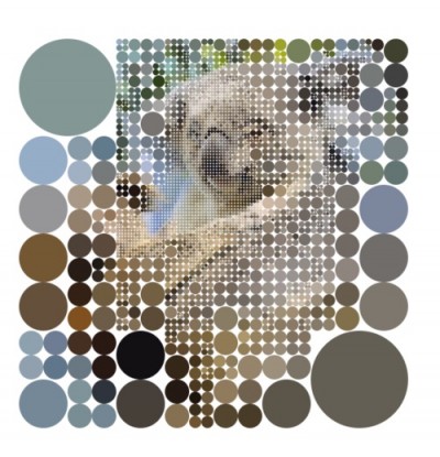 Koalas with circles