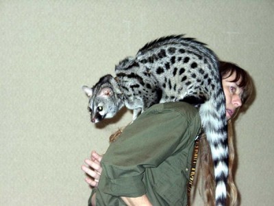 Genet