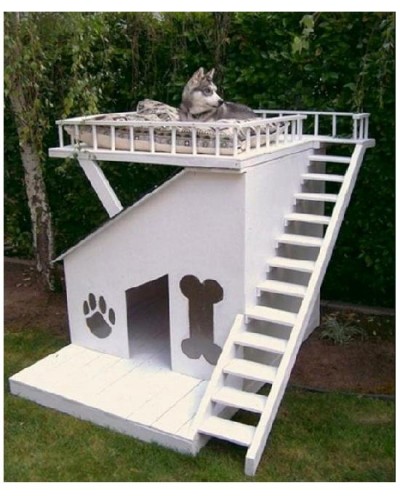 Dog house with sun deck