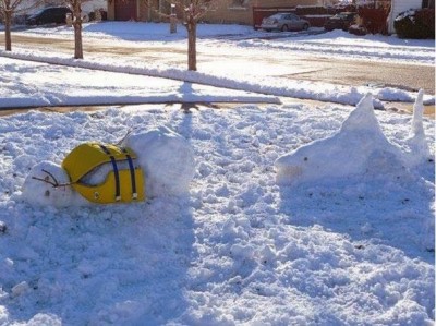Quick!!! Swim!!!