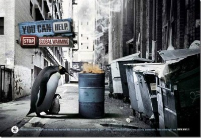 Where Will The Penguins Go?
