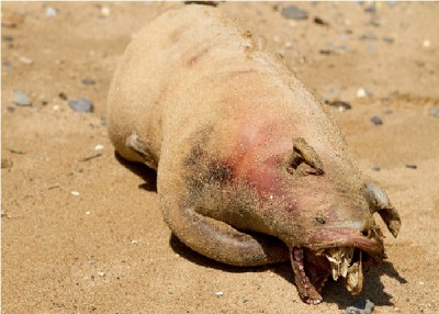 The East River Monster