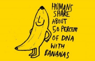 Which 50%?